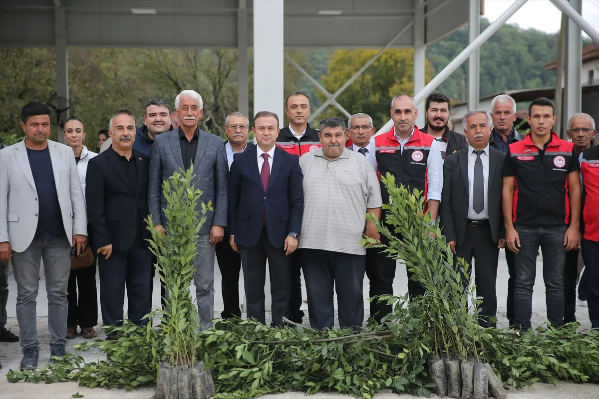 Muğla’da defne üretimi kadın çiftçilerle destekleniyor Muğla’da defne üretimi kadın çiftçilerle destekleniyor